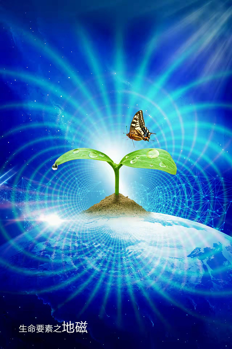 旋磁富氫水機(jī)(圖3)