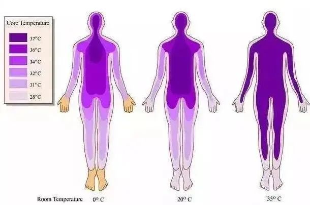 達(dá)圓邦暖磁鞋 | 冬日保暖“小太陽”(圖4)