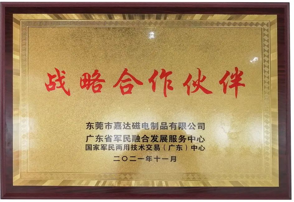 可行走在雪域高原邊防線上的磁暖鞋(圖3)