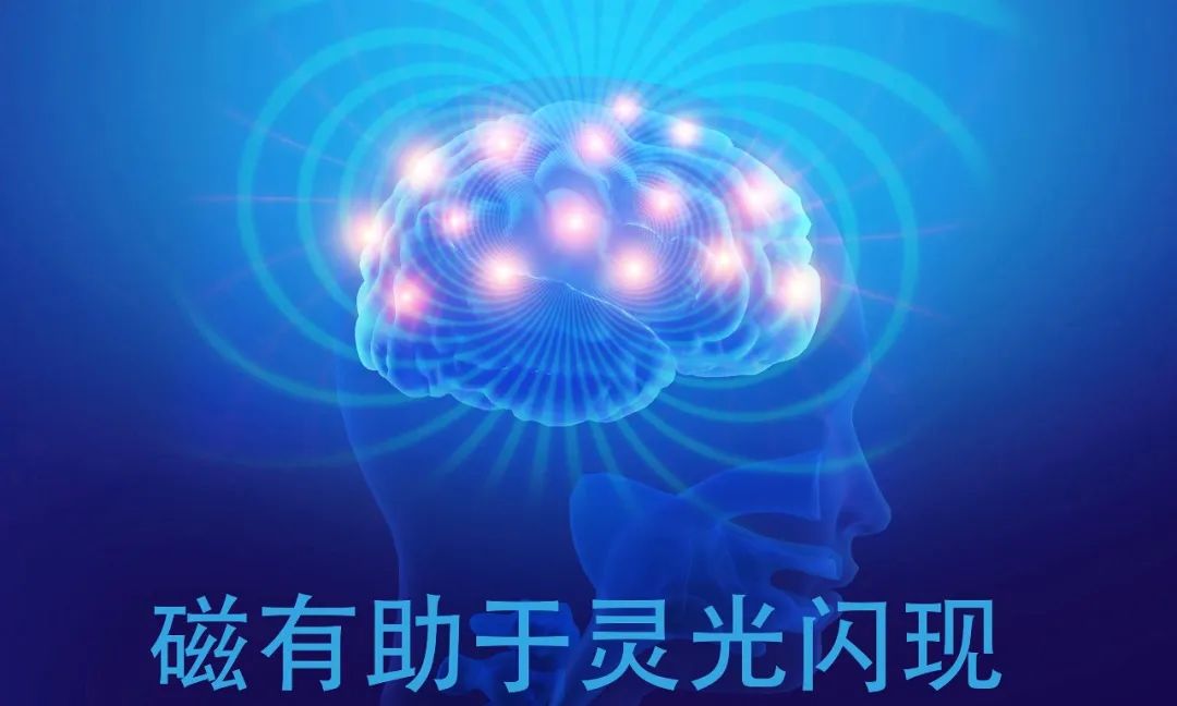 達(dá)圓邦能量代言帽(圖9)